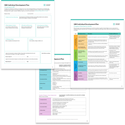 Development plan Development plan template