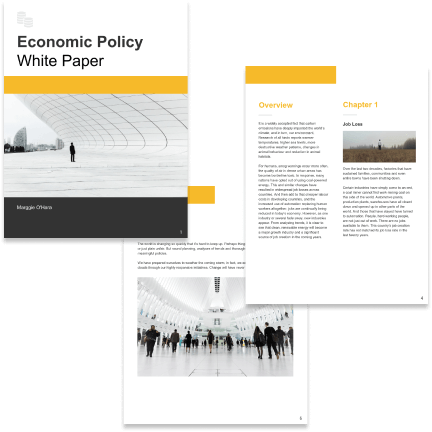 Economic policy Economic policy template