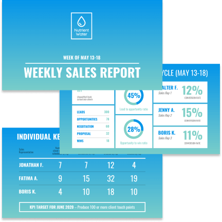 Sales report template Sales report template